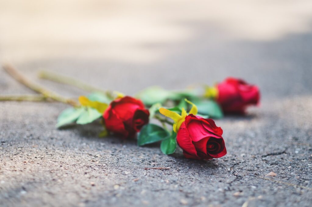 Red roses flower were abandoned on the floor